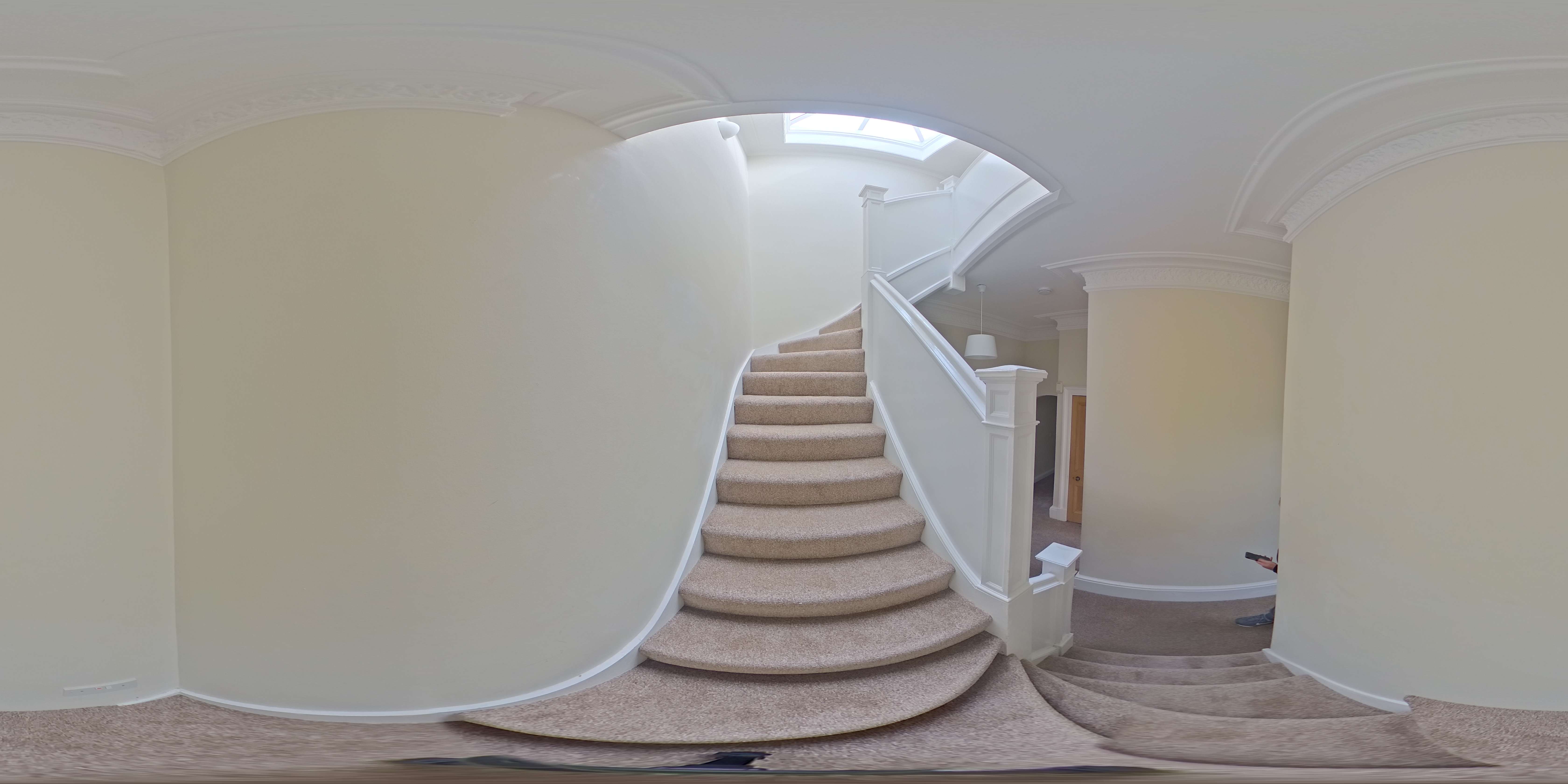 Property & Real Estate