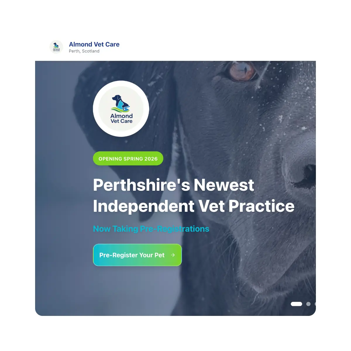 Almond Vet Care website design by Bear Media